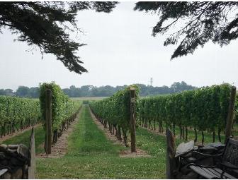 Complimentary Tour and Tasting at Newport Vineyards