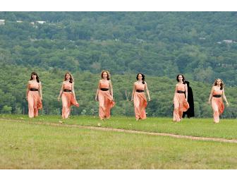 Two tickets to the Hudson Valley Shakespeare Festival