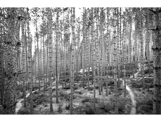 Burke / Kingdom Trails Package