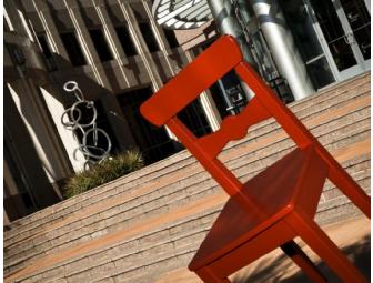 Orange County Arts & Cultural Affairs Public Art Package