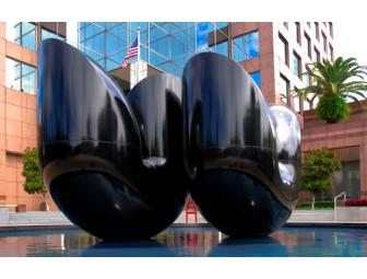 Orange County Arts & Cultural Affairs Public Art Package