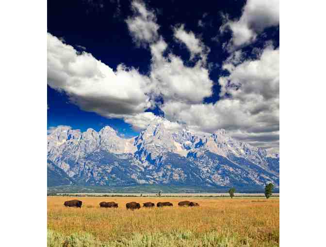 Snake River Float and Sunset Wildlife Tour