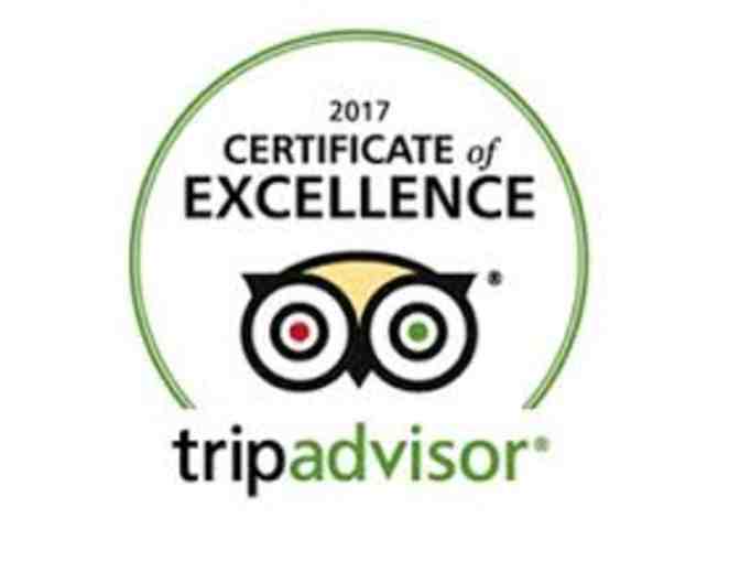 Exhilarating Helicopter Tour Over Boston from Tuckamore Aviation