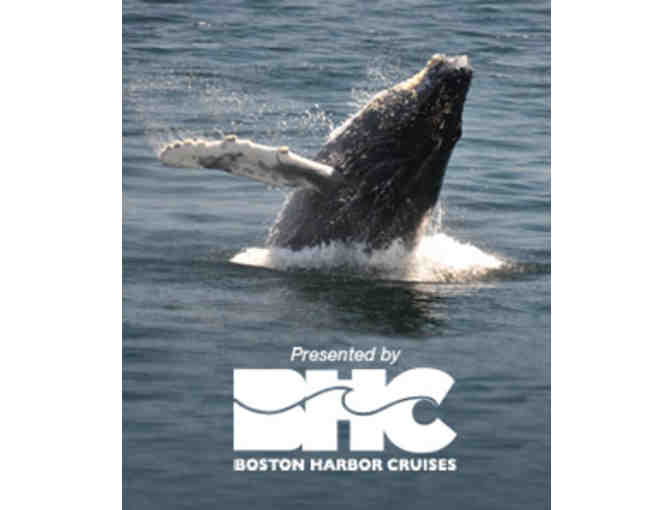 Whale Watch (New England Aquarium & Boston Harbor Cruises): 2 adults & 2 children