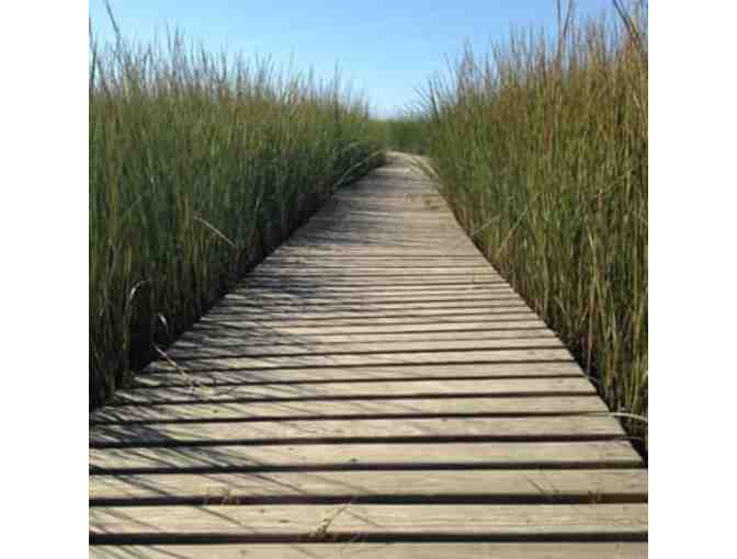 Mass Audubon One Year Family Membership ($65 value)