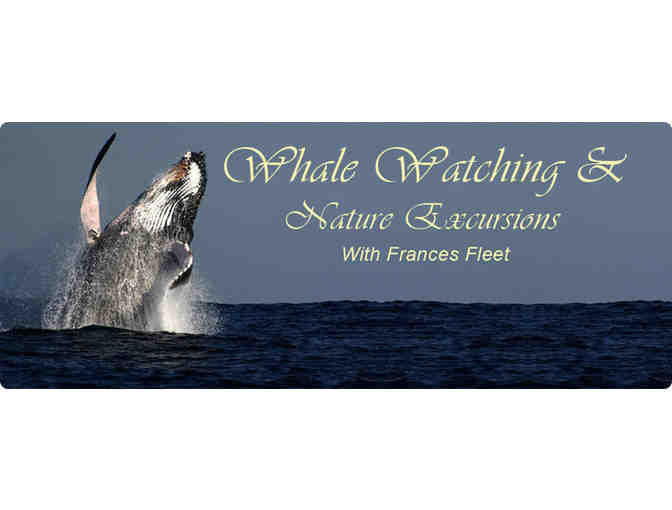 Family Zoo Membership & Whale Watch