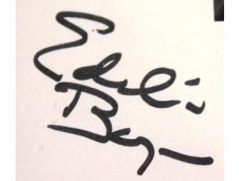 Notorious Cherry Bombs Autographed 11x17 Event Poster