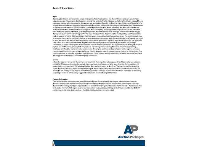 Disney Paris Experience