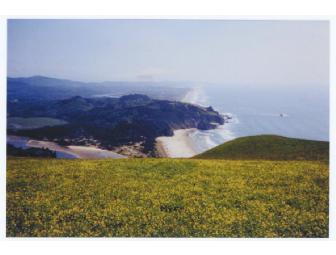 1 Week Stay - Beautiful Beach Home on Central Oregon Coast