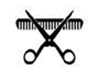 Haircut w/ color consult