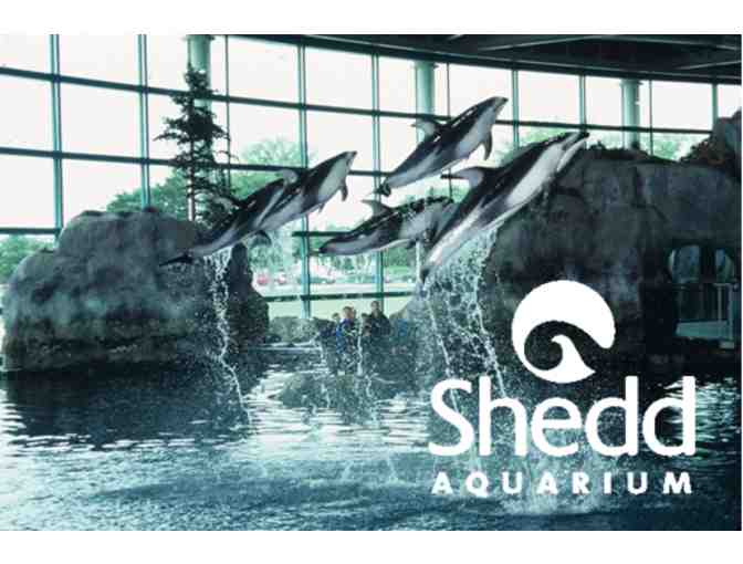 Shedd Aquarium - 6 VIP Passes - Photo 1