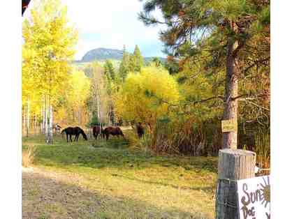 Stay at Beautiful Montana Ranch