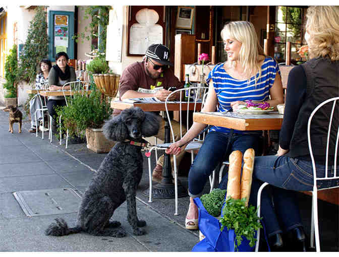 La Mediterranee Cafe and Restaurant in Berkeley, CA: $25 certificate