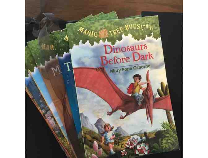 Collection of 23 ' Magic Tree House' books