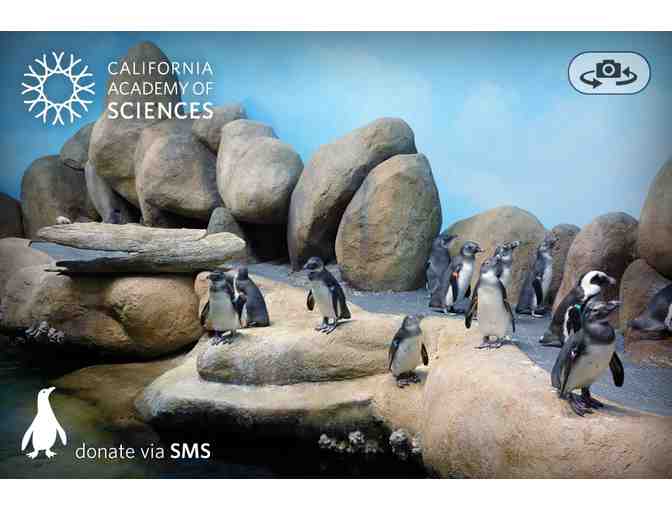 California Academy of Sciences: 4 General Admission Passes