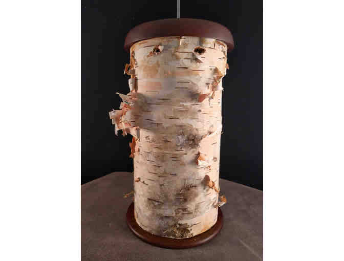 White Birch Birdhouse