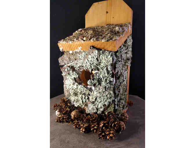 Hidden in Plain Sight