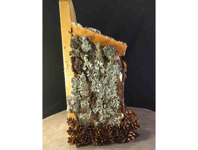 Hidden in Plain Sight