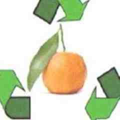 Orange Avenue Estate Salvage & Garden