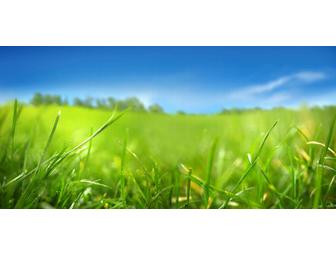 Peters Lawn Service $150 Gift Certificate