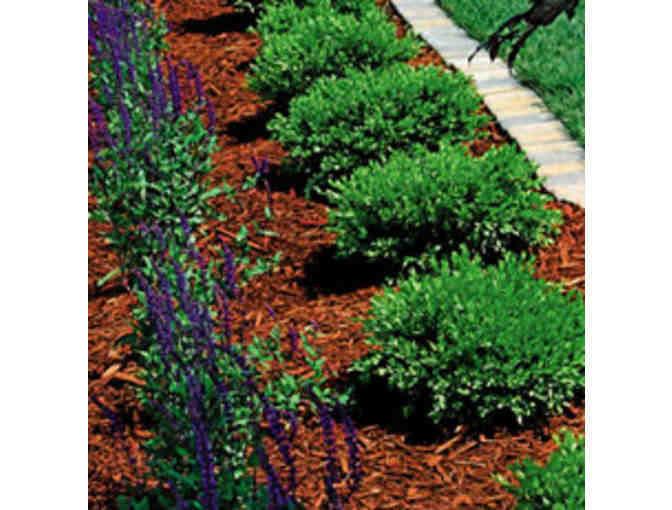 Colored Landscaping Mulch (Item 4)