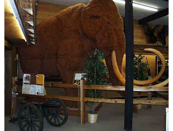 Ahlman's $50 Gift Certificate