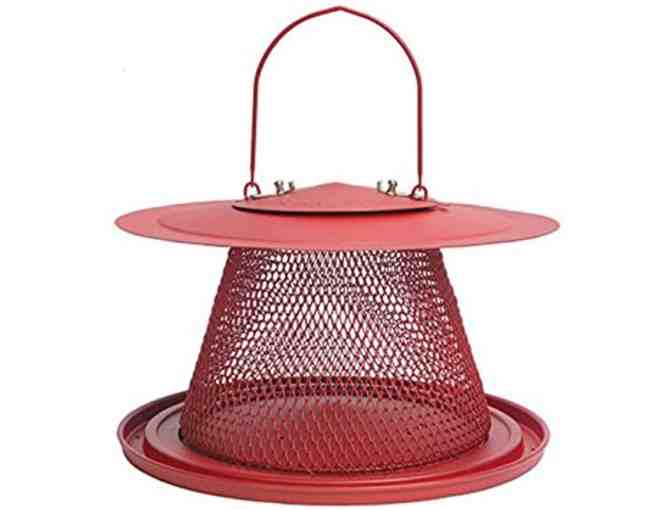 Cardinal Bird Feeder