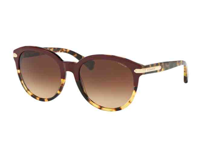 Coach Sunglasses