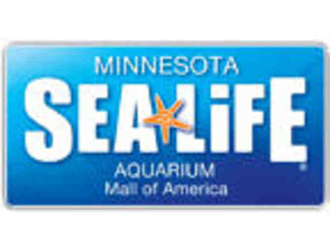 Day Trip to US Bank Stadium & MOA Sea Life Aquarium