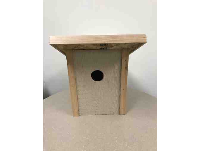 Bird Houses Set of 2