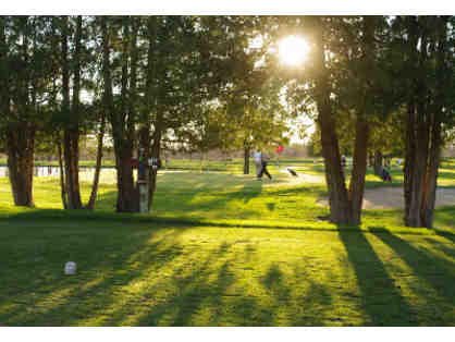 Golf for 4 at Faribault Golf Club, Carts Included