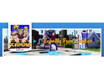 Scandia Family Center - Party Package for 10