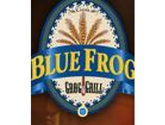 Brewer for a Day with the Blue Frog Brewer
