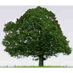 Natural Health and Wellness Center