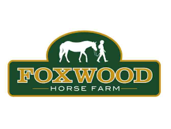 Foxwood Horse Farm Riding Lesson #2 - Photo 1
