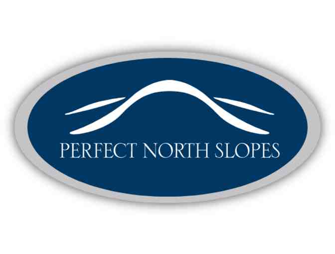 Perfect North Slopes - Photo 1