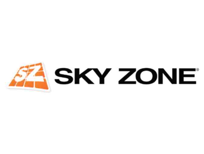 SkyZone Fishers - Photo 1