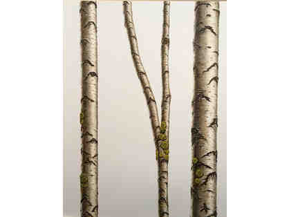 "White Birch" Original Oil on Wood Painting by Daniel Tousignant