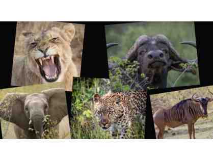 All-Inclusive 6 Night Photo Safari for 2 Guests, South Africa