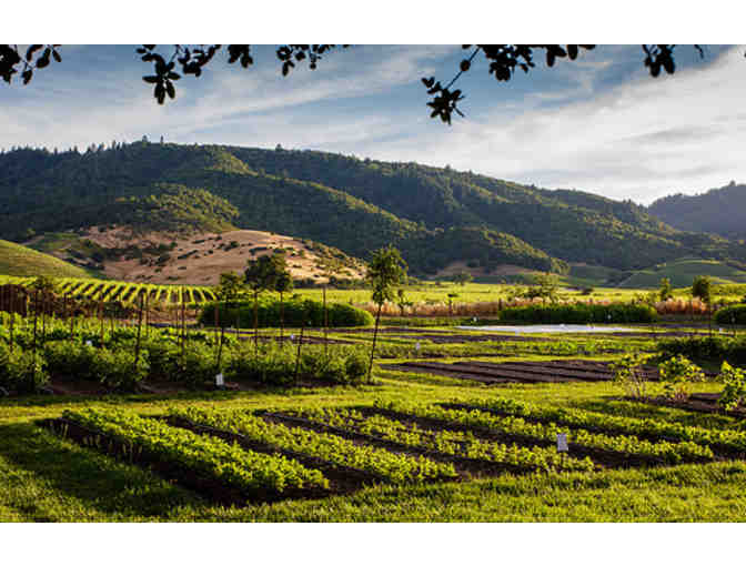 Week in Wine Country