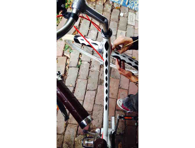 Bunnie Reiss Custom Painted Public Bikes Metropolitan Cruiser