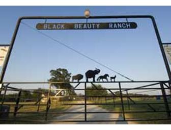 Spend Time Where the Antelope Roam