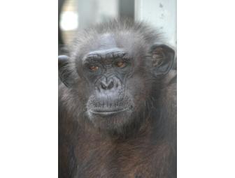 Spend Time Where the Antelope Roam