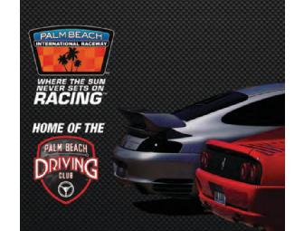 Cruise the Speedway <i>Inside</i> a Professional Racecar