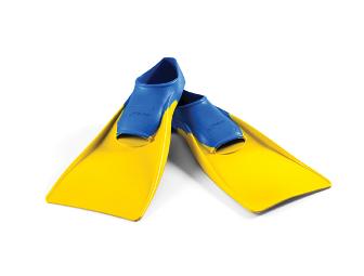 Support a Swimmer-Fins or Snorkle