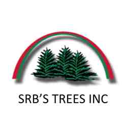 Srb's Trees - Sun Prairie