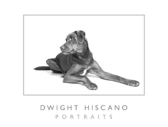 Dwight Hiscano Photography ~ Studio Portrait Session For Your Pet!