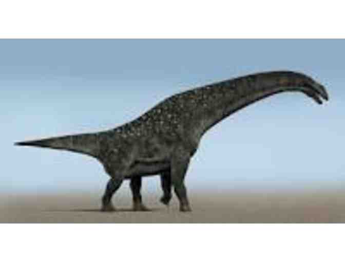 Private Dino Tour at the American Museum of Natural History