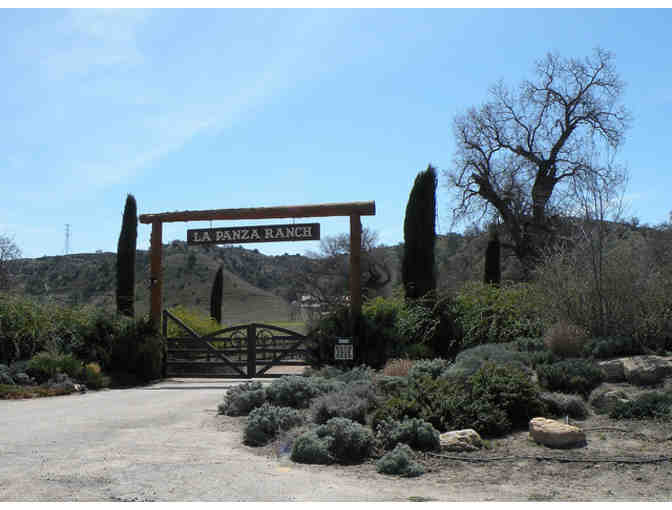 Sweet Night at Ragged Point