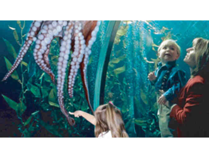 Pier 39 Family Fun Pack